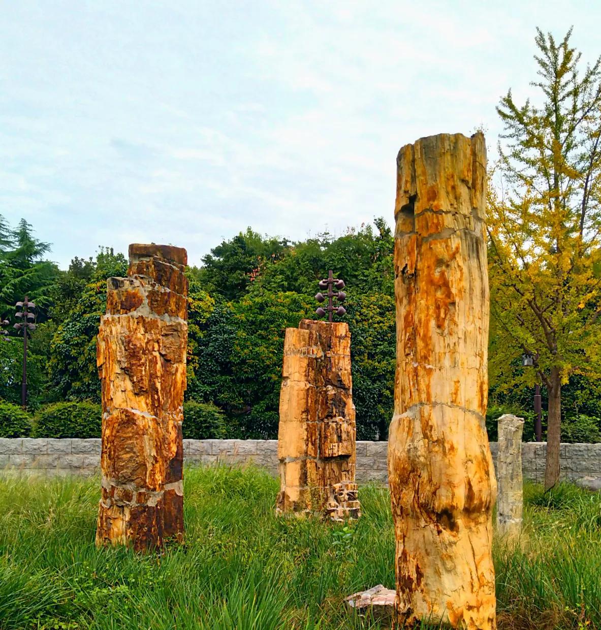 网信办治理自媒体乱象举报,自媒体乱象的案例最新