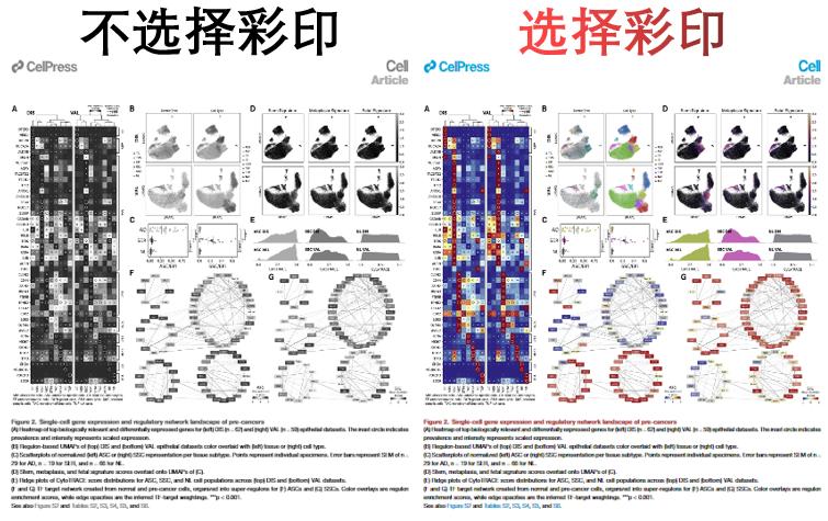 知网又被罚5000万元引发热议,知网被判赔老教授70万后续