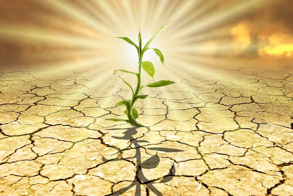 疫情导致的广告行业倒闭的有多少,疫情影响下的广告行业还好吗