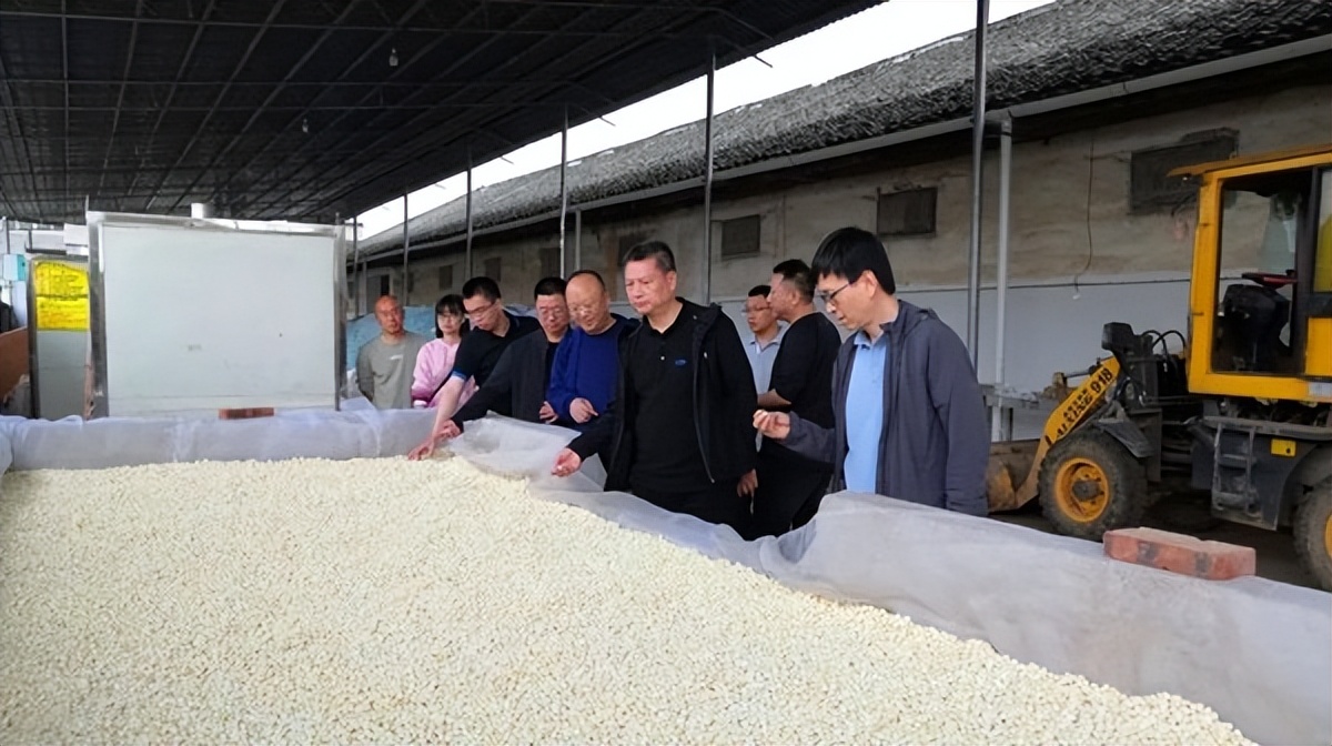 乡村振兴开局图,喜迎二十大建功新征程