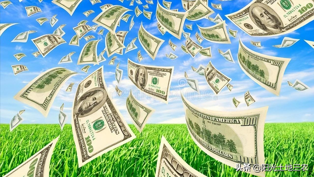 关于2022年乡村振兴的优惠政策,桂东县2022年乡村振兴项目