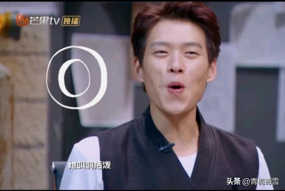 没有撒贝宁的大侦探大家还会看吗,没有撒贝宁的明星大侦探好看吗