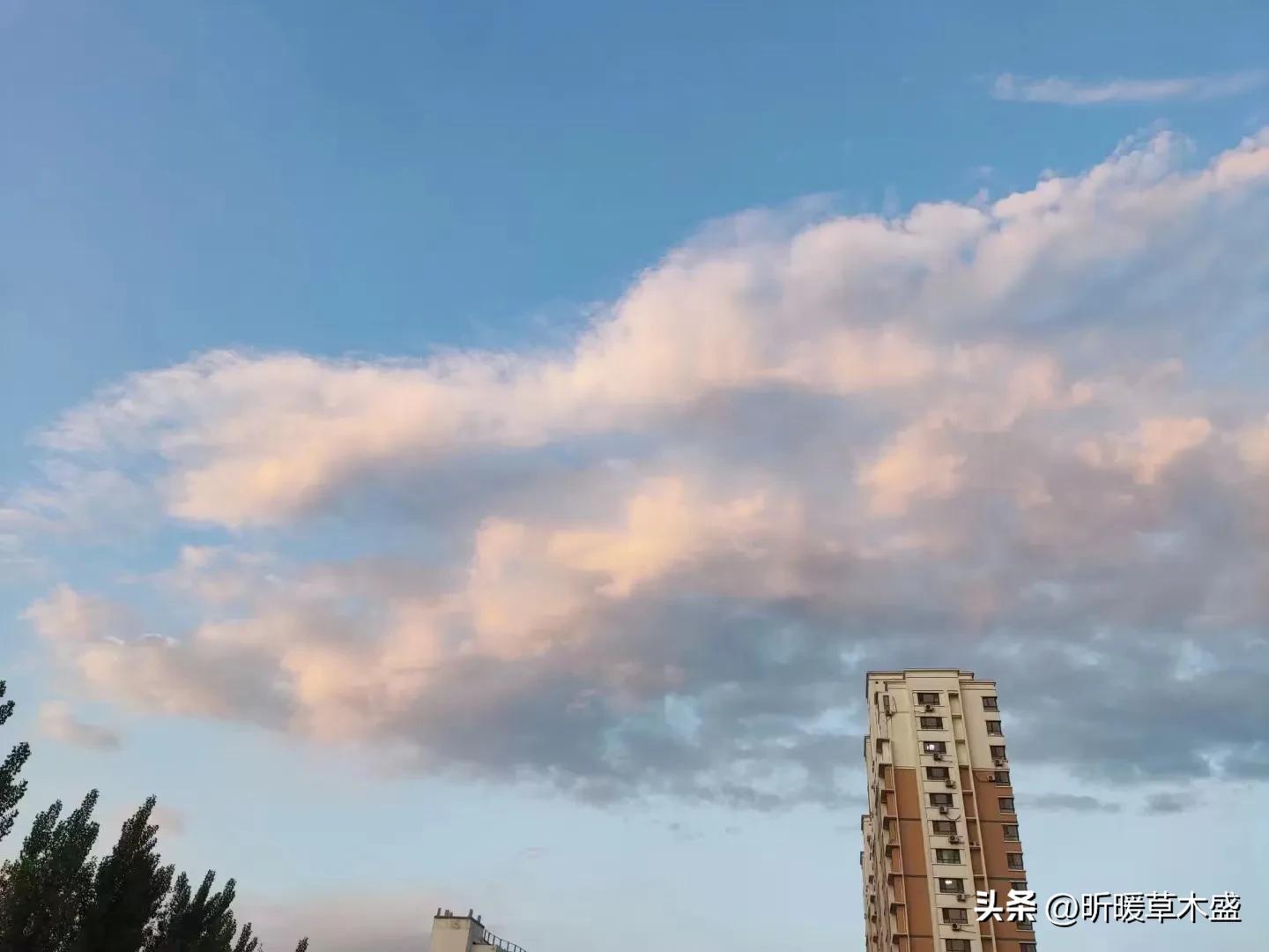 阅读名著摘抄及感悟,写阅读古典名著的感想450字作文