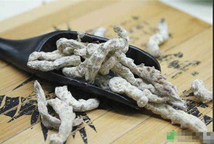 治各种息肉的四味中药,中医四味药消除息肉