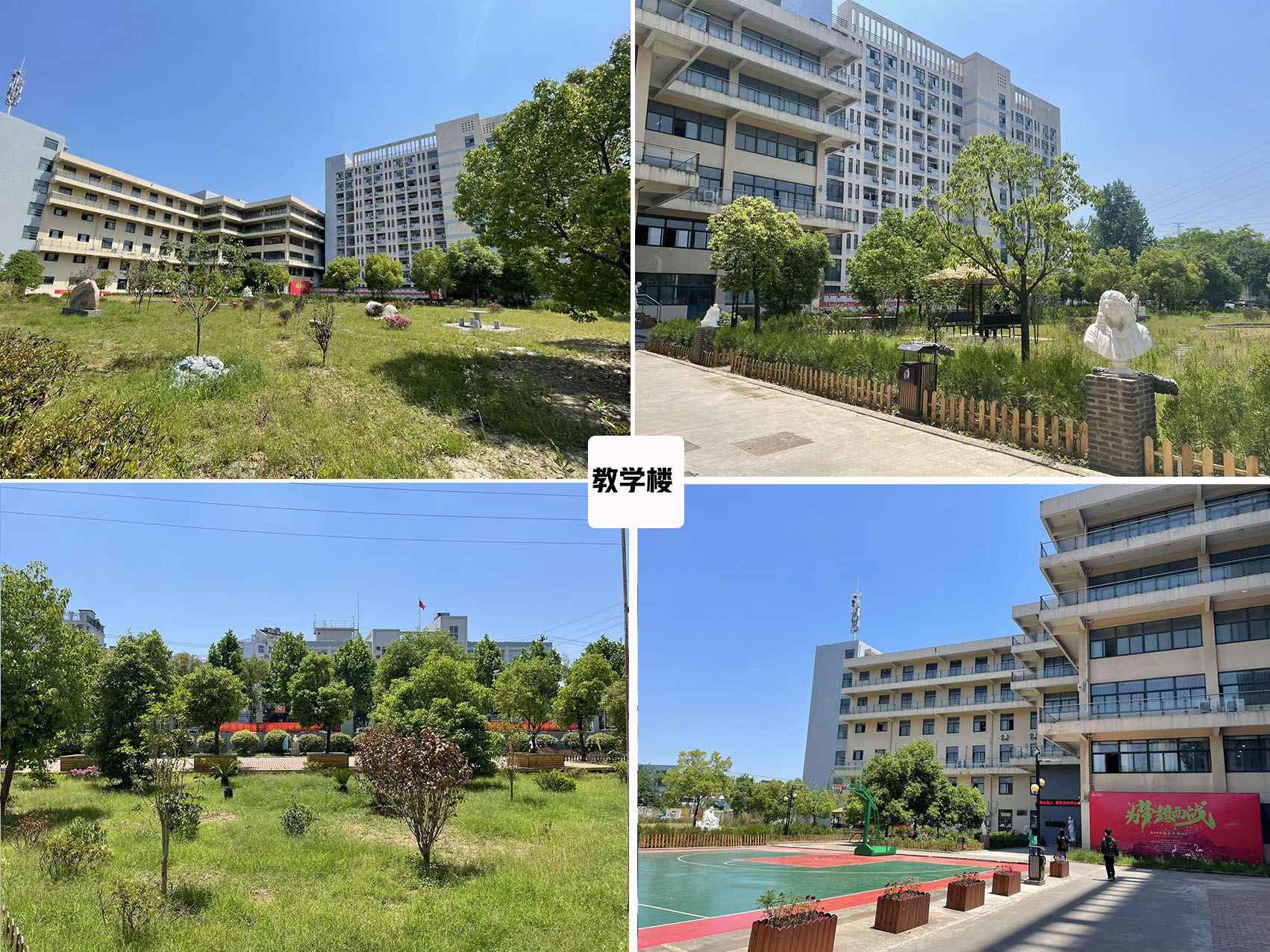 大龄考研女适合的专业推荐,合肥女生考研十大最好专业排名