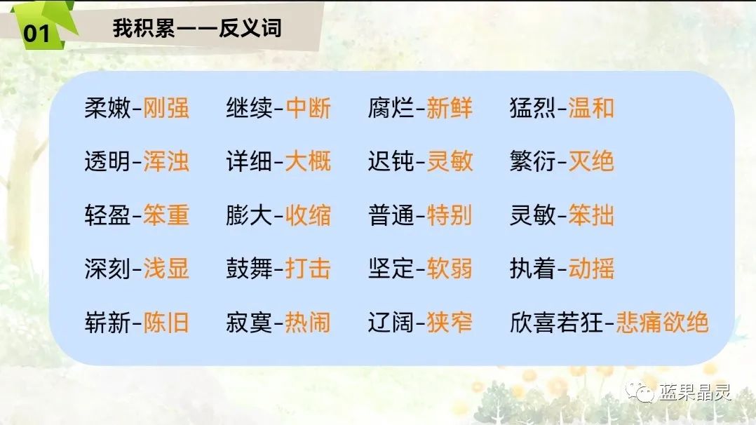 四下语文:第2单元课本内容(复习+练习)