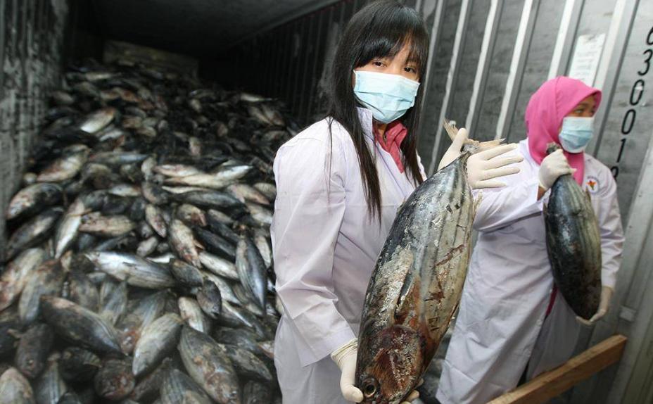 日本东电谈核废水排入大海没,日本福岛核污水入海计划新闻评论
