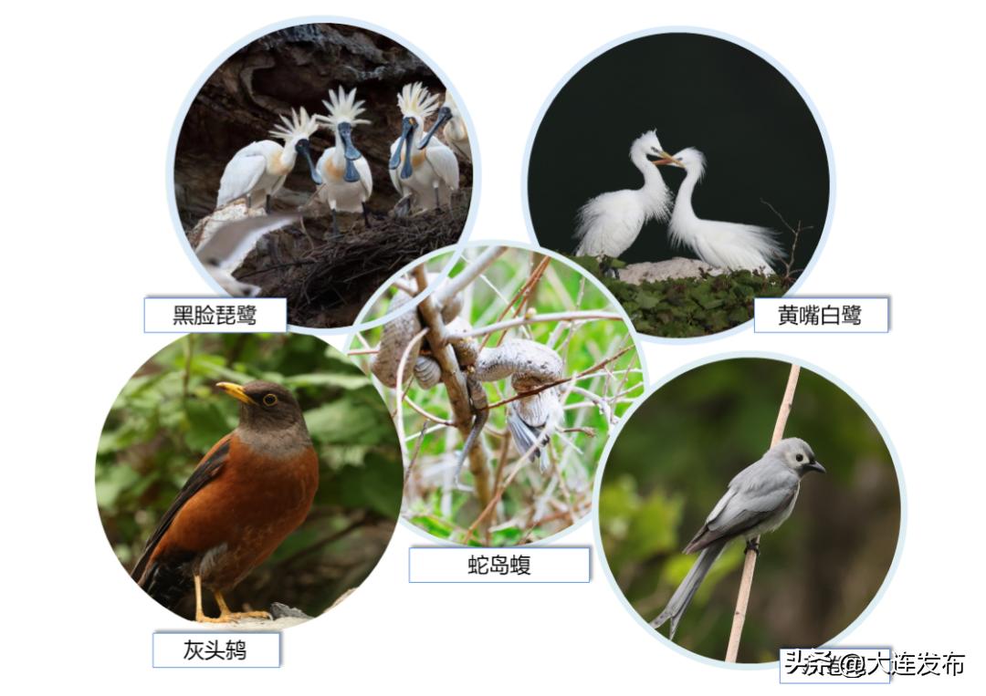 绿水青山不负人！大连，更好看了！