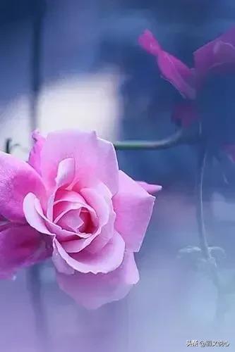 思辩的寓意,思辨能力是什么