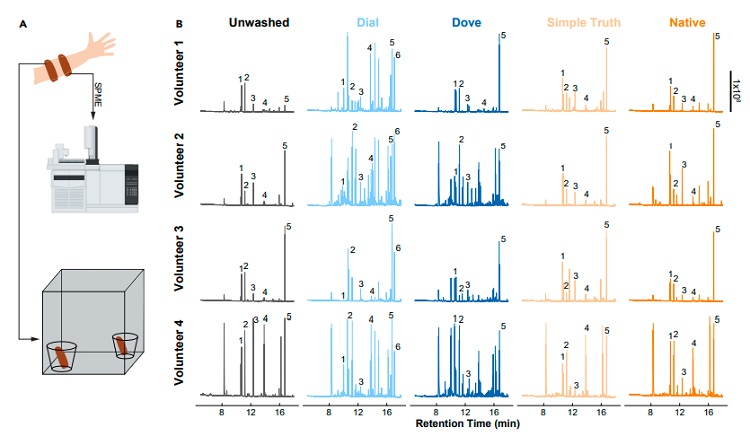哪种沐浴露可以消蚊子,蚊子咬了抹沐浴露