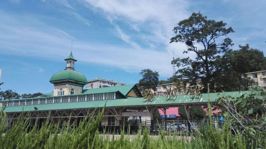 大连冷知识图片,大连冷知识视频