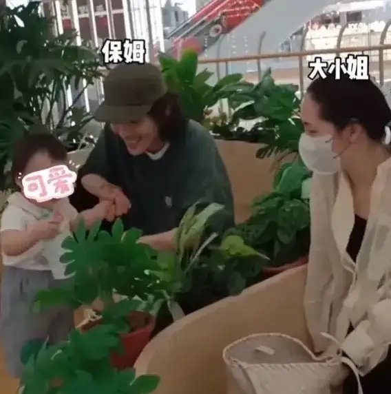 向佐与郭碧婷很有夫妻相,向佐喊郭碧婷大小姐自称保姆