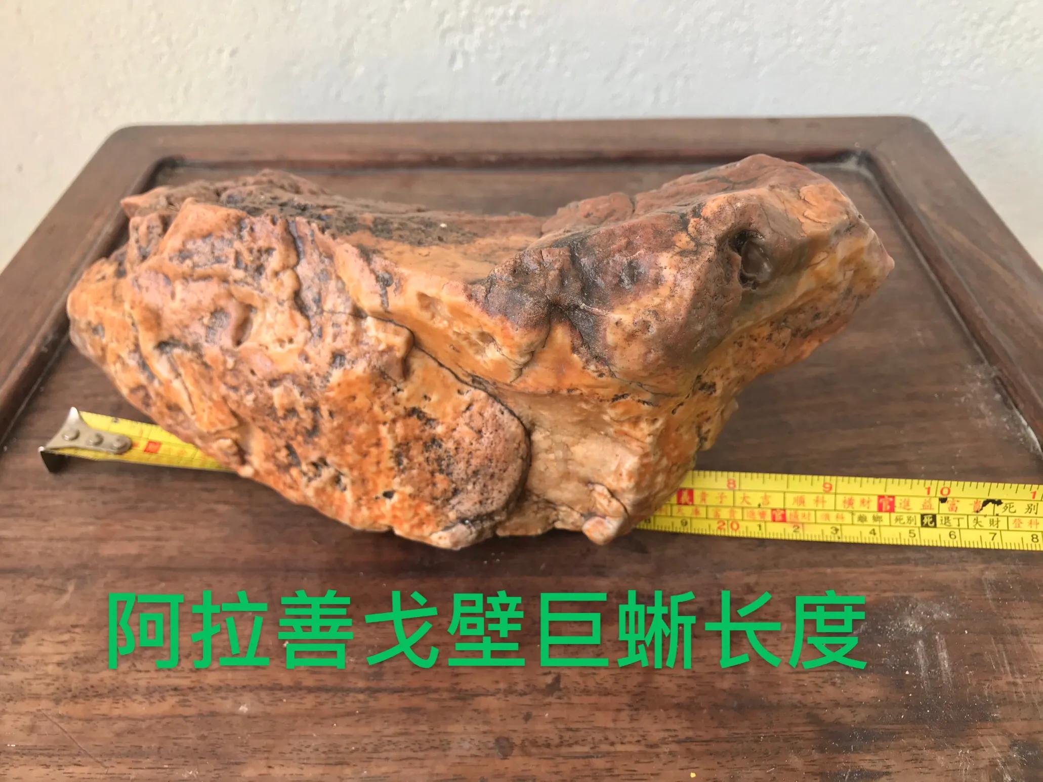 阿拉善捡戈壁石沙漠漆的具体位置,内蒙古阿拉善戈壁石