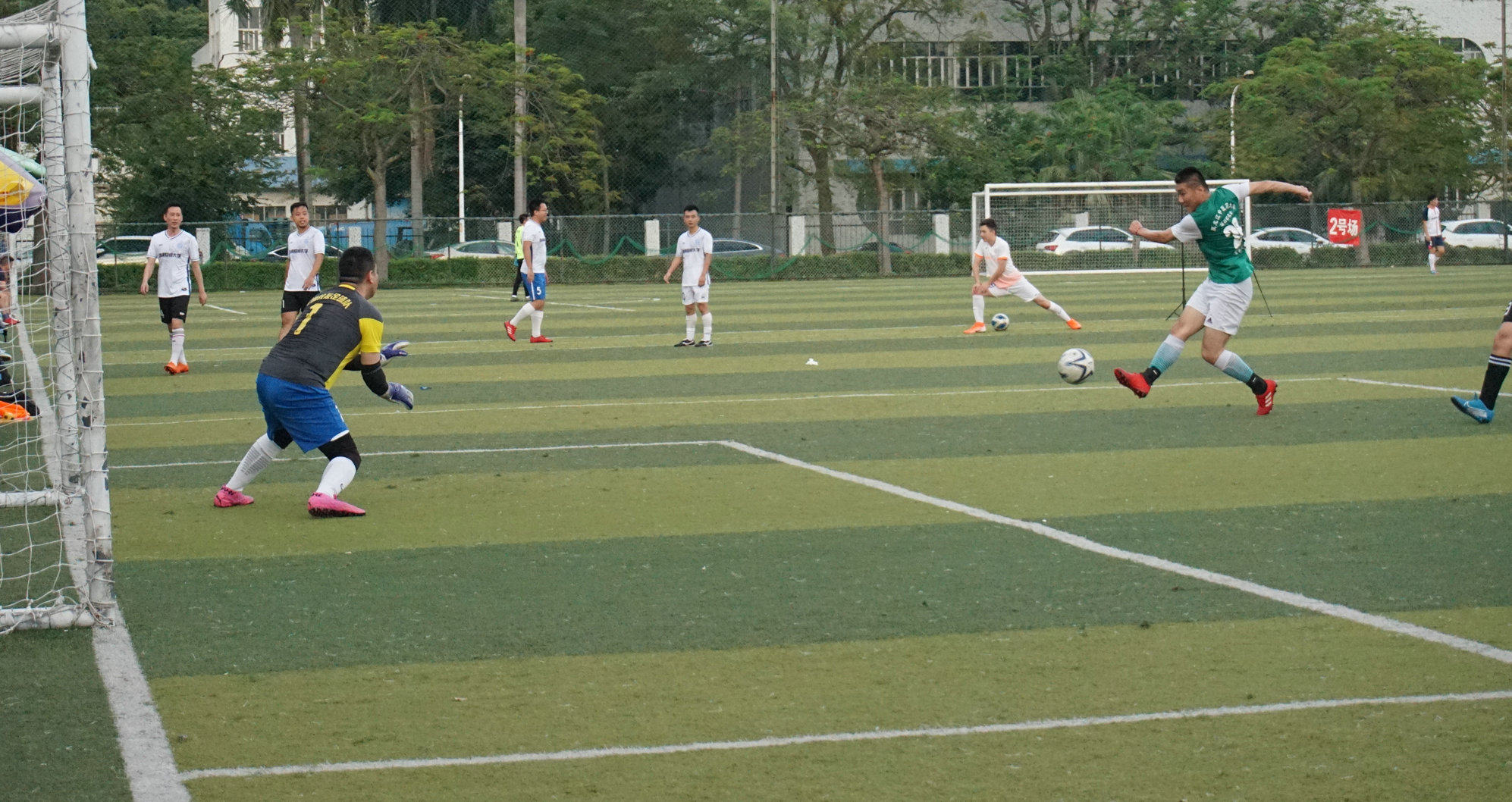 西南财大vs金强,苍狼vs老虎