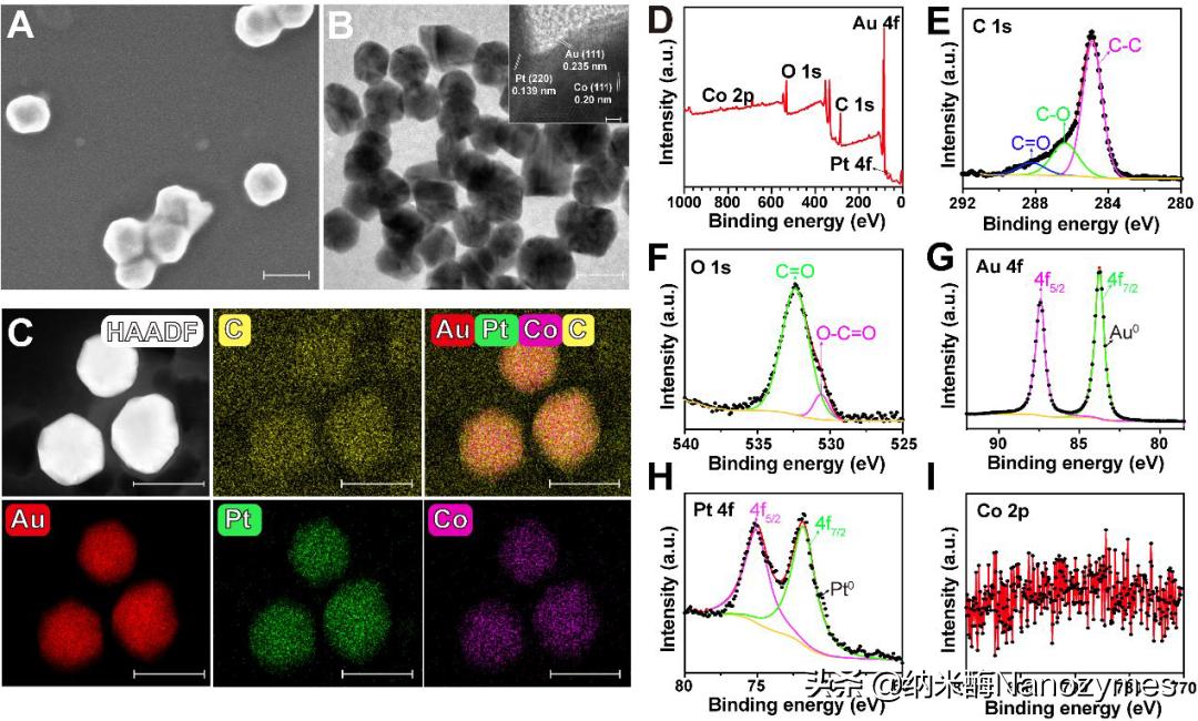 Anal.Chem.|AuPtCo三元合金纳米酶用于化学发光生物分析