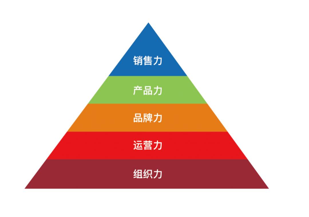 龙行营销的成功案例,龙行营销
