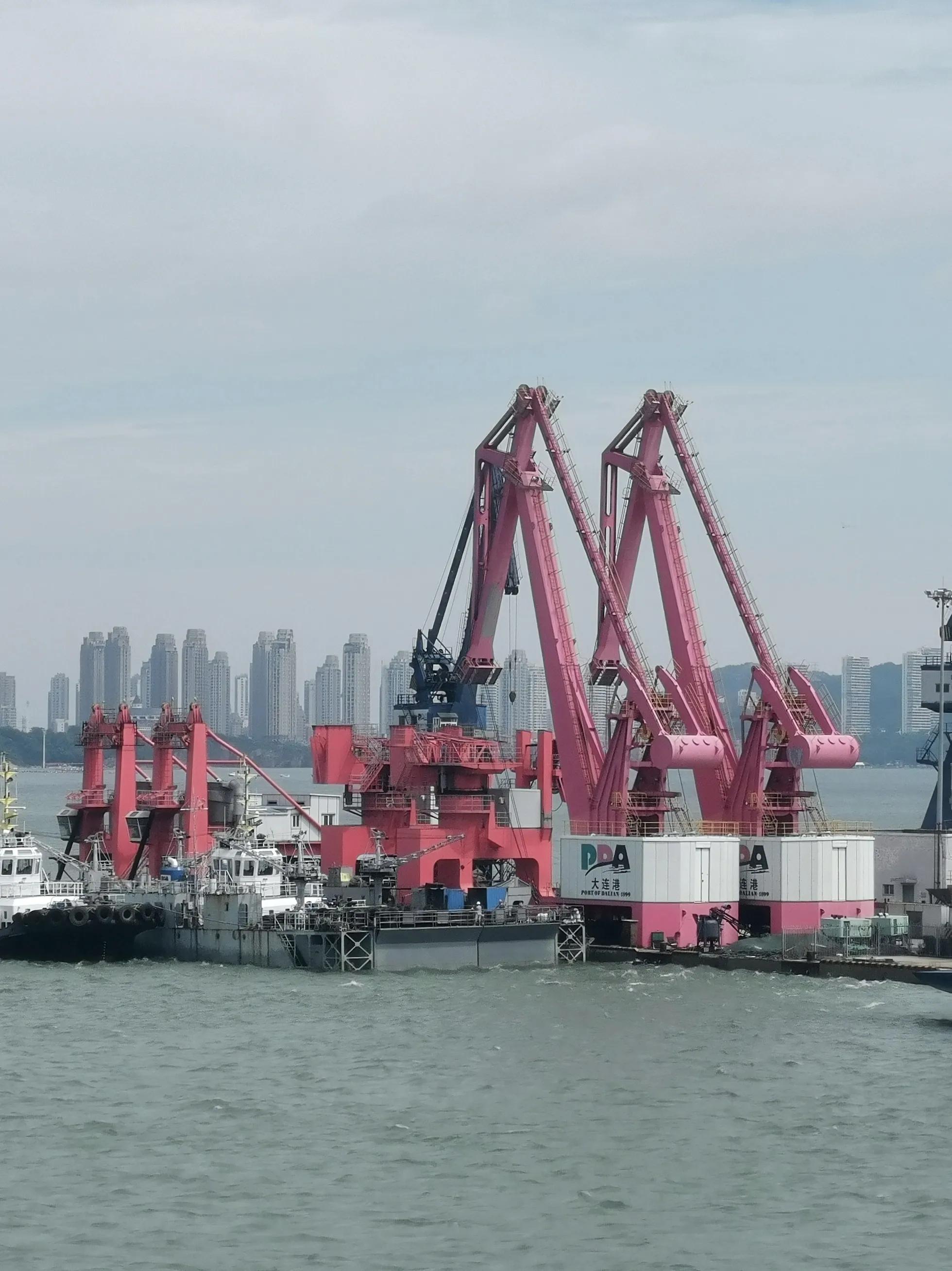 中山广场大连老视频,大连中山广场百年沧桑