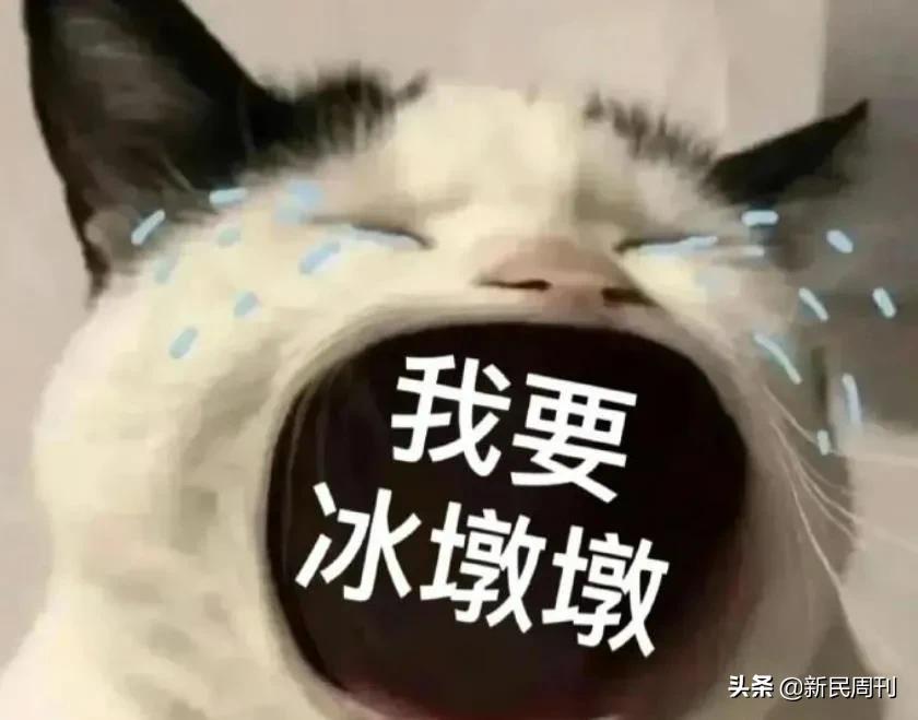 为什么冰墩墩那么火,为什么冰墩墩是熊猫