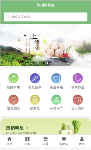绉嶅吇娈栦簯骞冲彴,绉嶅吇娈栦簰鑱旂綉骞冲彴