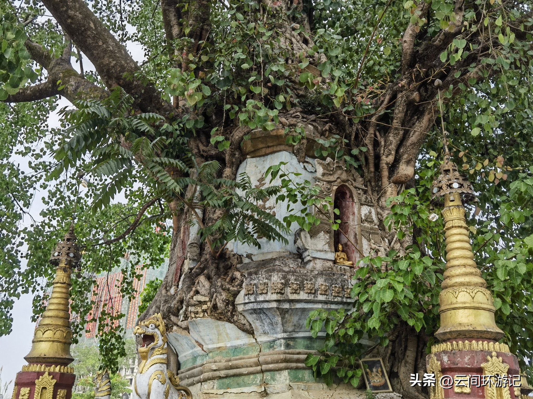 缇庝附寰峰畯娴极涔嬫梾,婕父寰峰畯