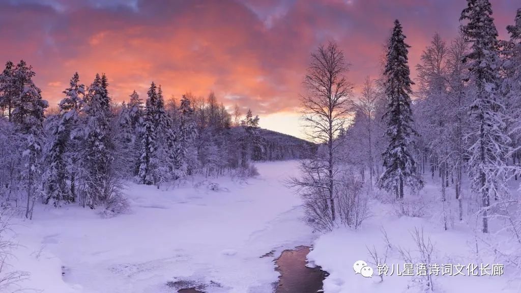 星语原创诗歌全集,星语作品全集