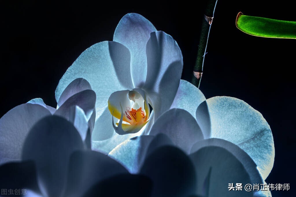 网贷管辖权异议申请,管辖权异议法律条文