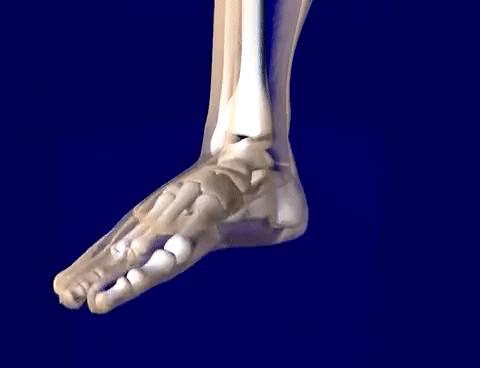 运动生理学测试实验报告,运动生物力学实验室纪录片