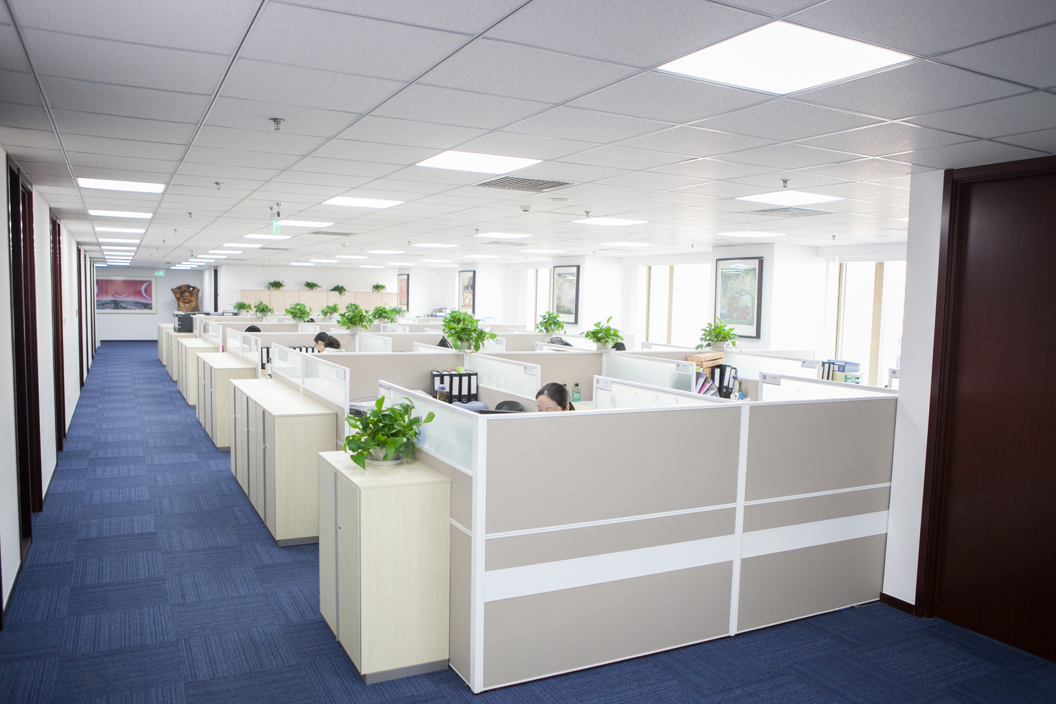 国枫律所和锦天城,国枫律所和君合哪个好