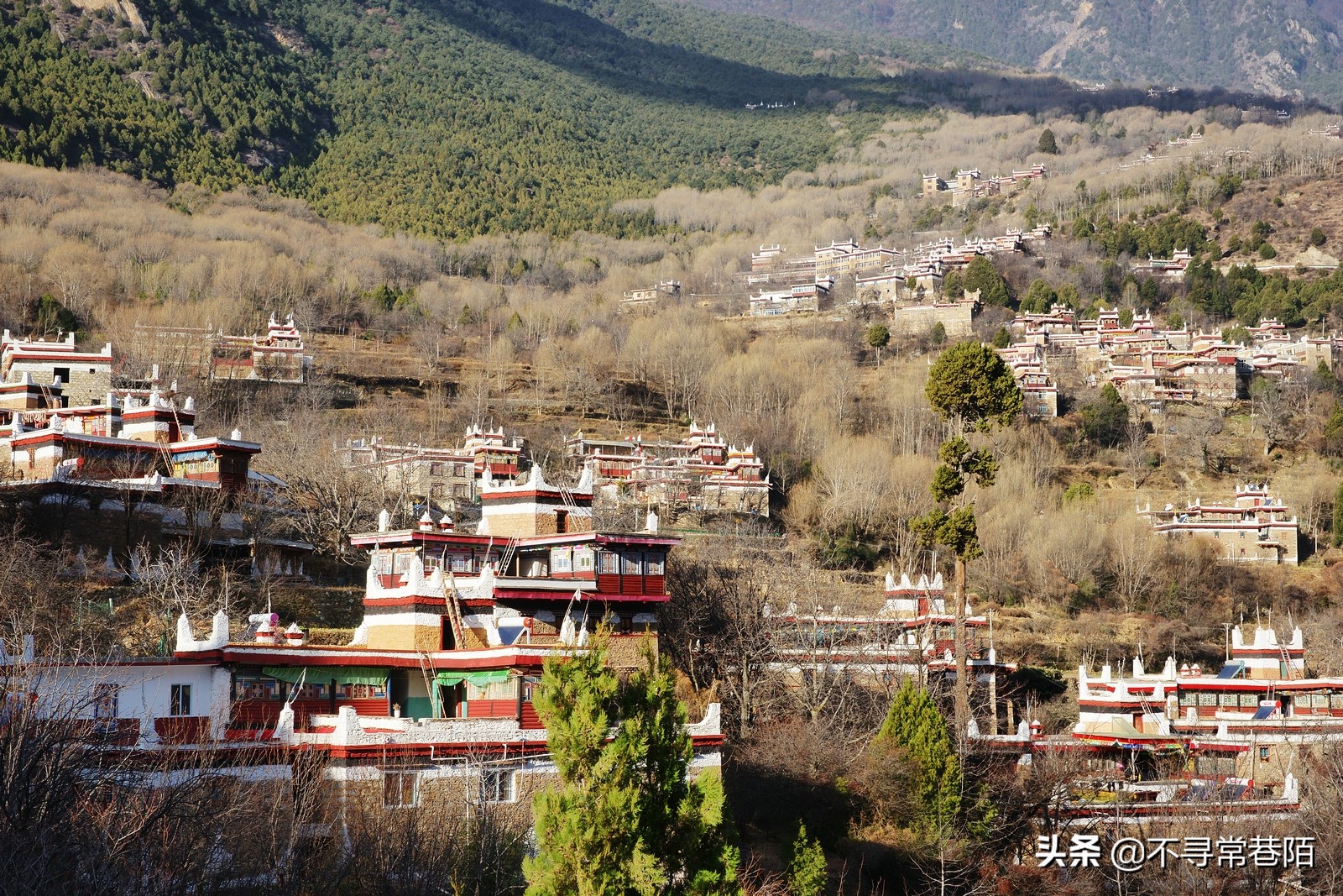 这里有许多历史悠久的古镇,从历史中走来的古镇