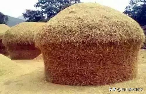 农村孩子的苦日子,90年代的农村孩子有多苦