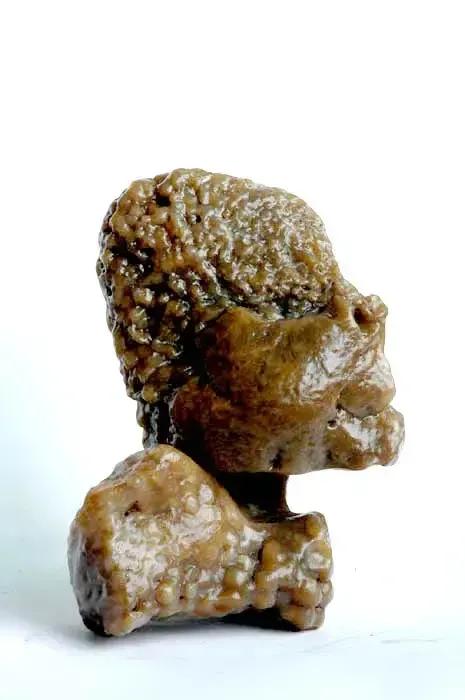 18块最贵奇石欣赏,世界上最贵的六大奇石