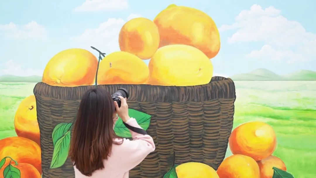 遇见彩虹打卡视频,遇见彩虹遇见美景