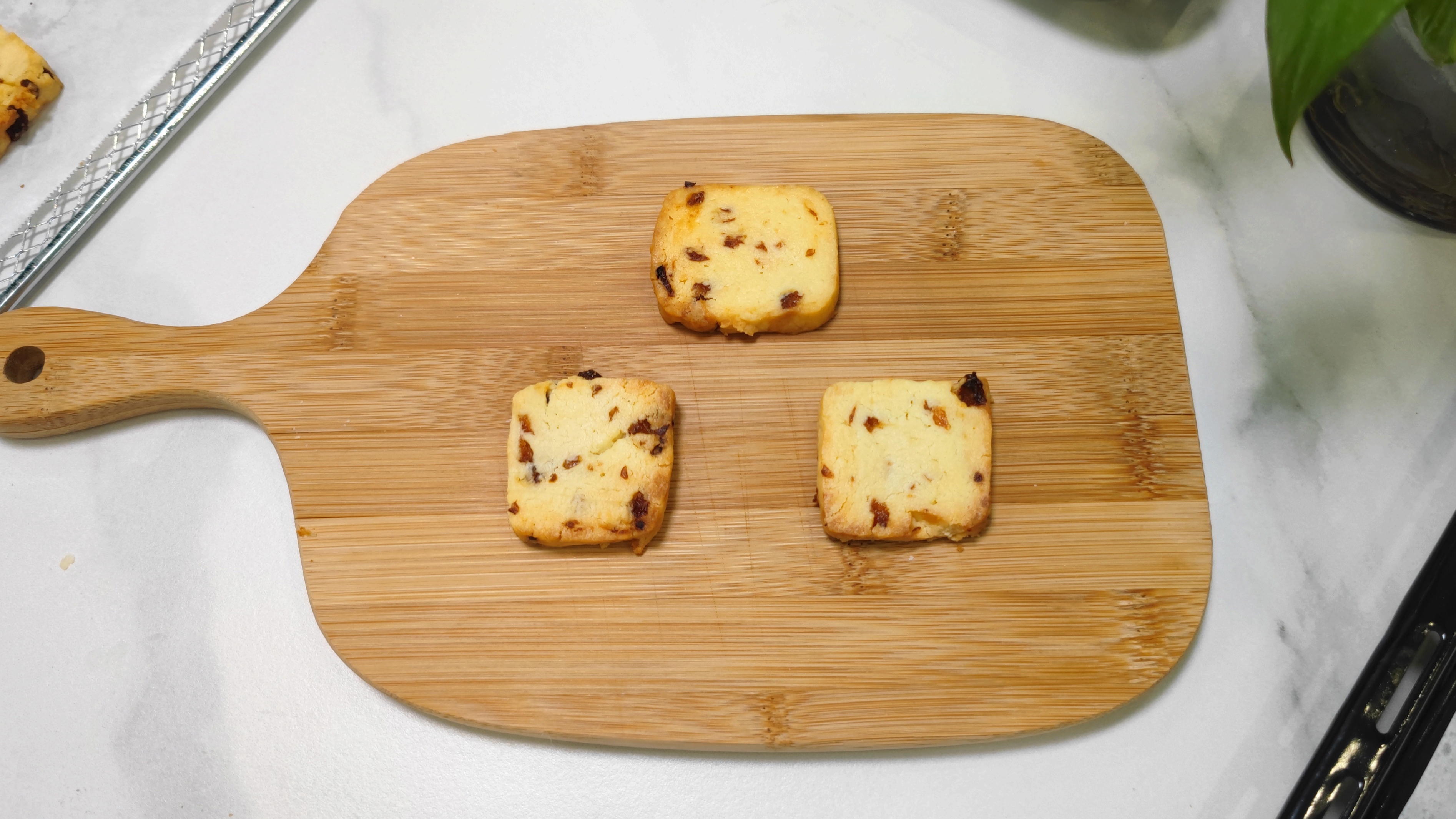 长帝大白鲸烤箱使用方法视频教程,长帝大白鲸哪个烘焙博主用