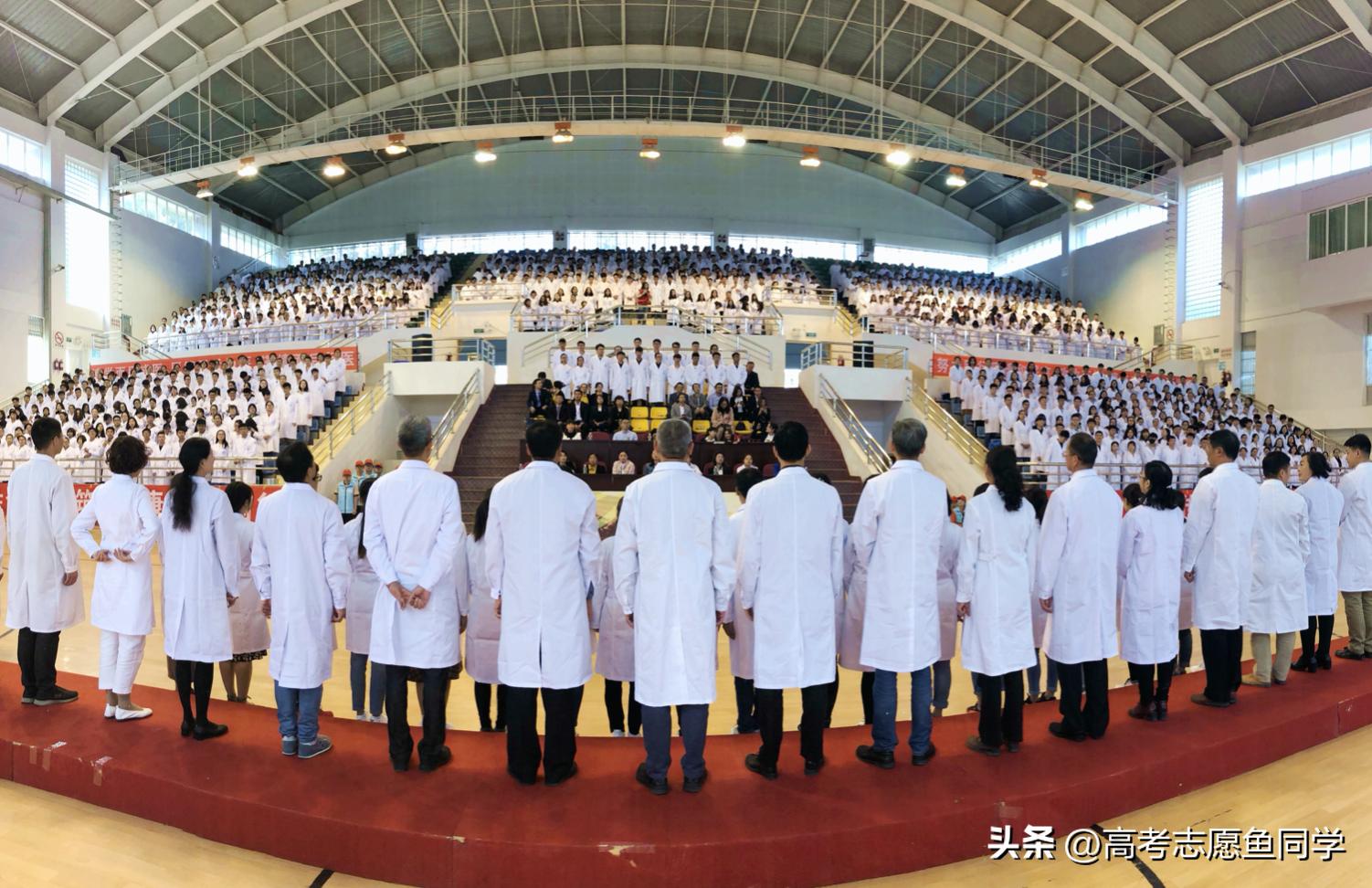 文科生可以学医选哪个专业好就业,文科生学医哪个专业好就业前景