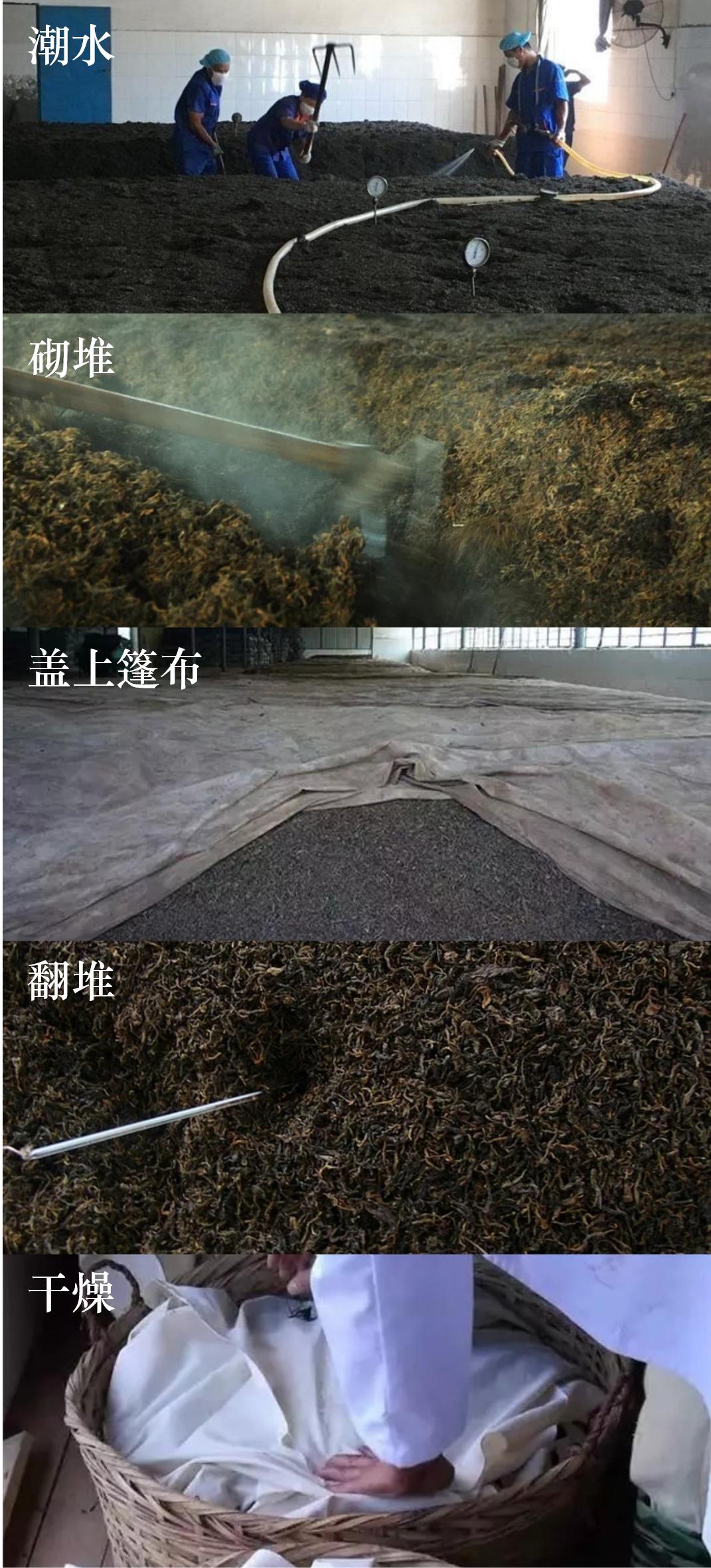 普洱茶惊艳的小产区,一张图看懂100个普洱茶产区