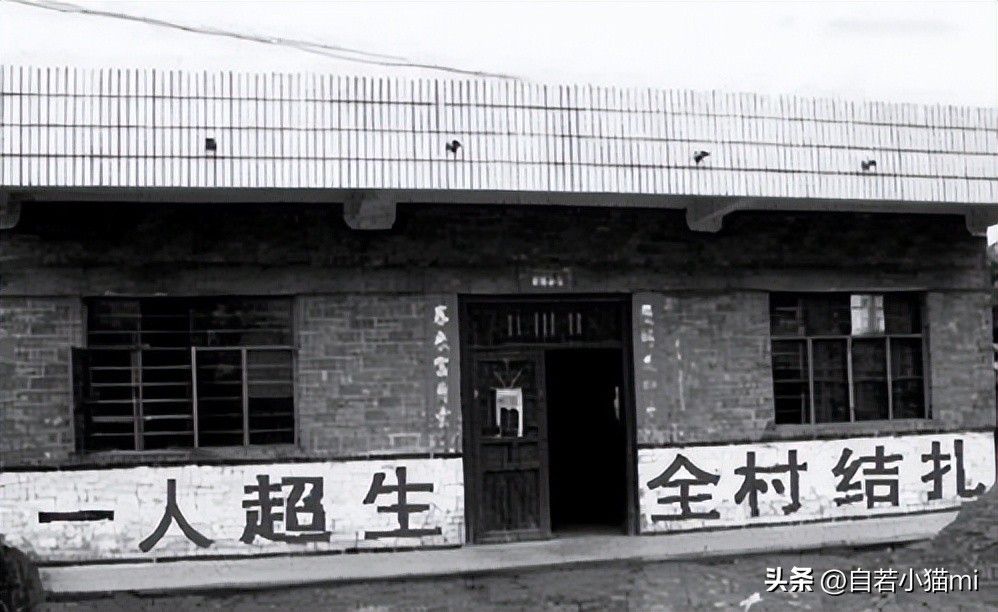 强占医院当皇宫,册封护士为嫔妃,还以皇上自居