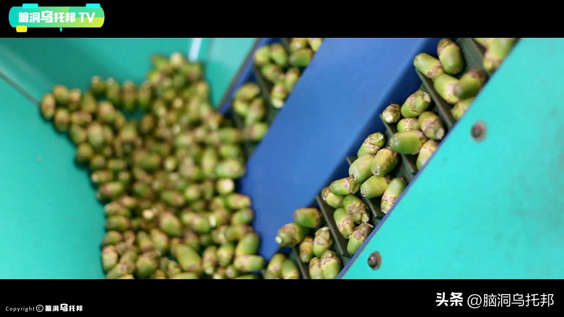 一级致癌物槟榔长期热销,槟榔一级致癌物