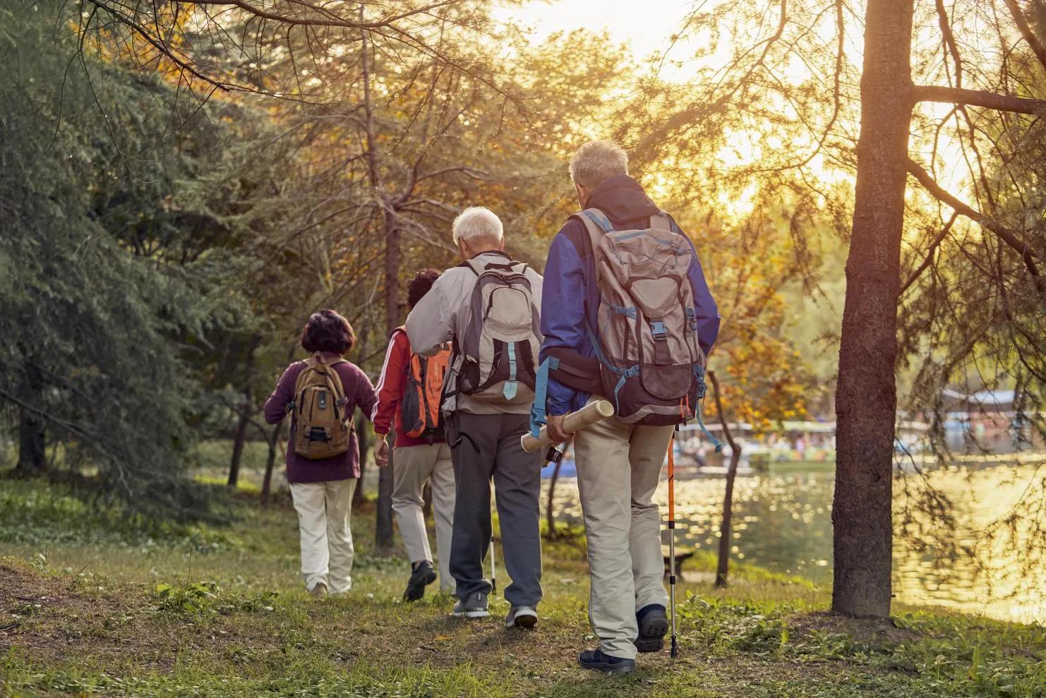 关于老年人补充蛋白粉的知识,老年人吃蛋白质粉的好处和坏处