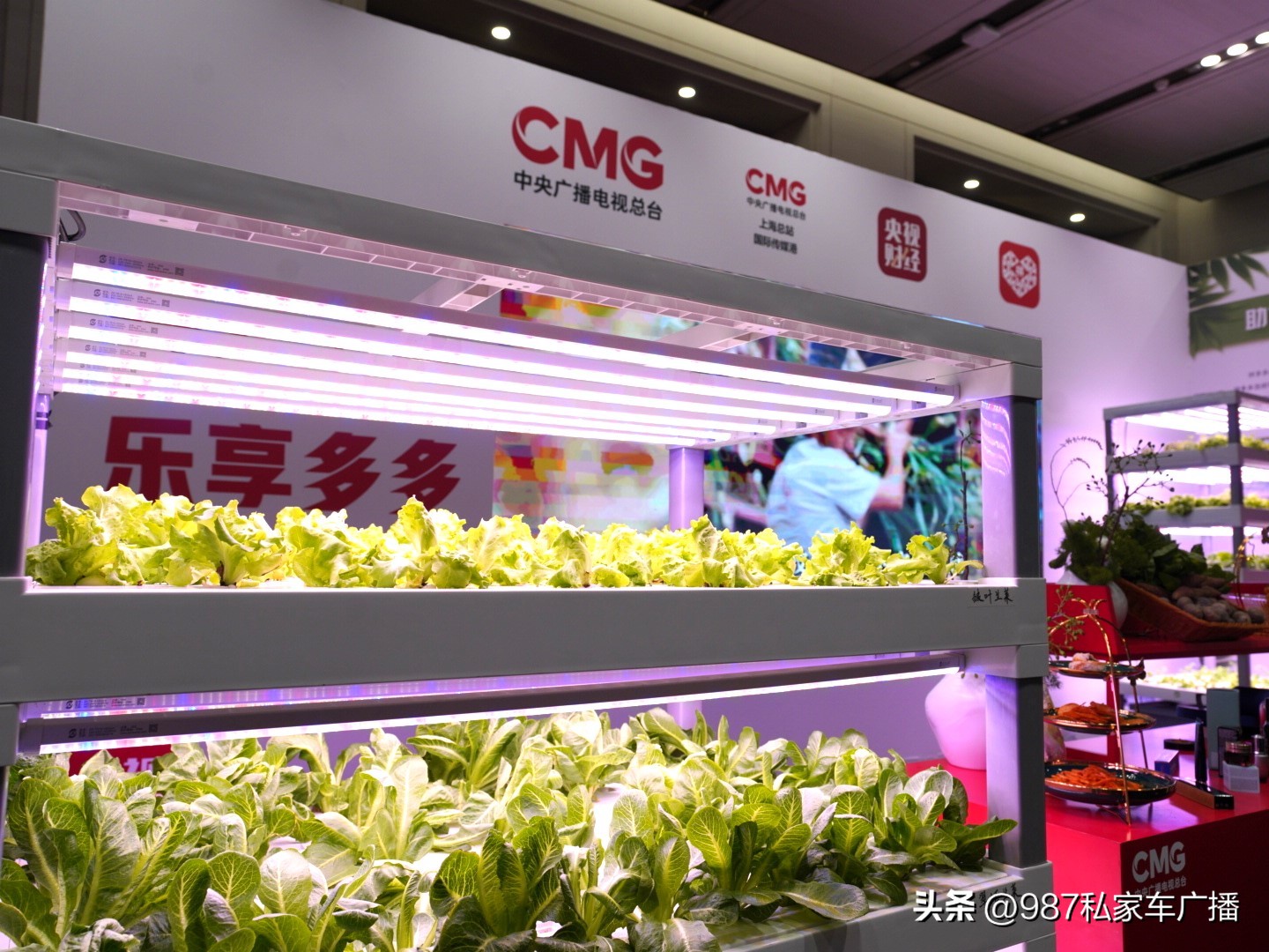 拼多多五五购物节进展,央视报道拼多多最新