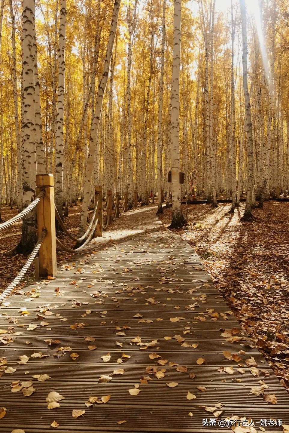 呼伦贝尔塞北草原旅行,呼伦贝尔金秋自驾游