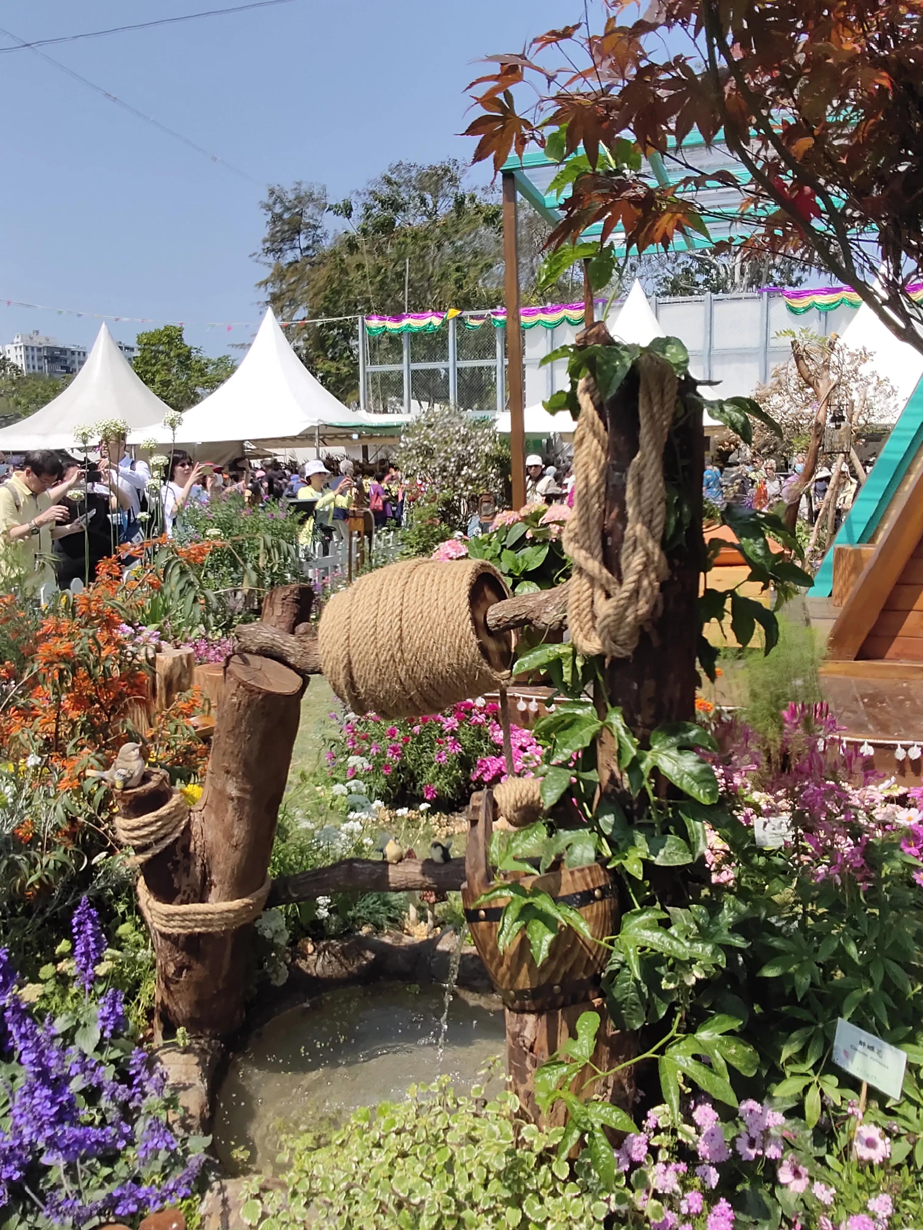 香港参观,参观花展感悟
