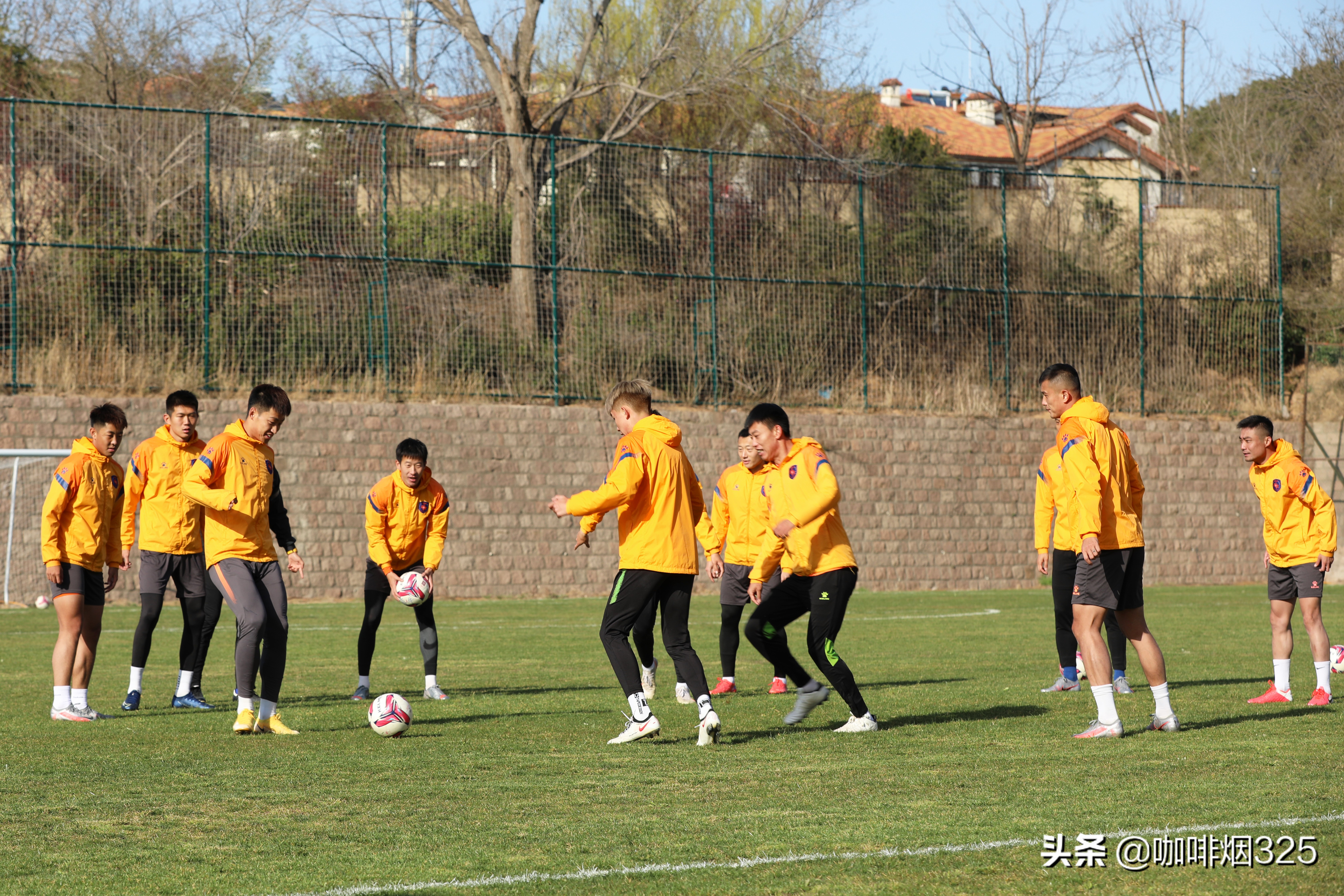 新赛季青岛海牛主场观赛指南,海牛新赛季主场