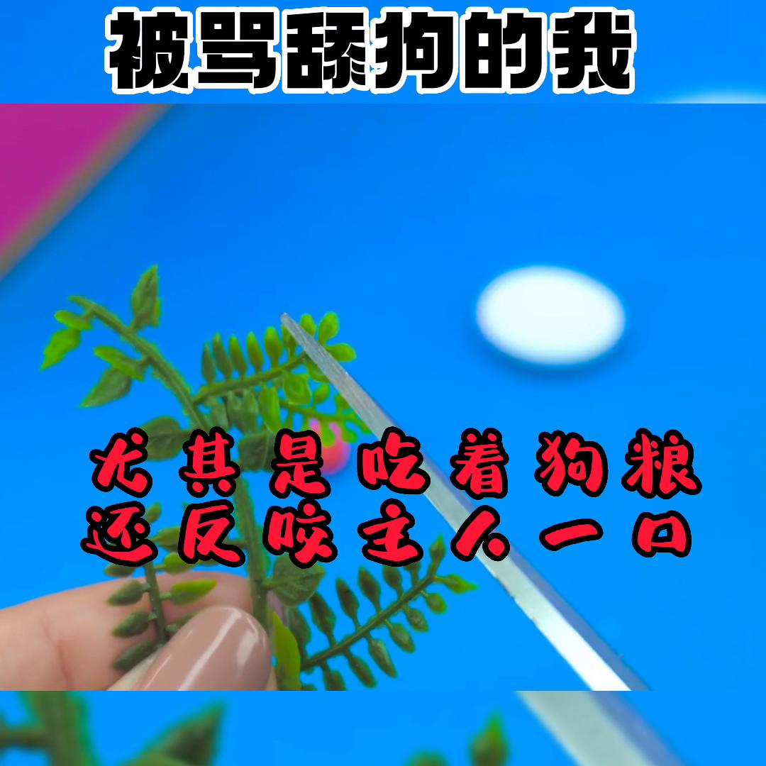 极度舒适的强迫症视频,极度舒适的沉浸式助眠视频