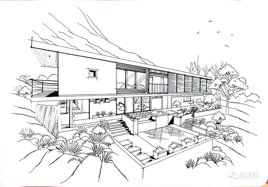 2022猫虎绘暑假手绘班招生简章「线上+线下」