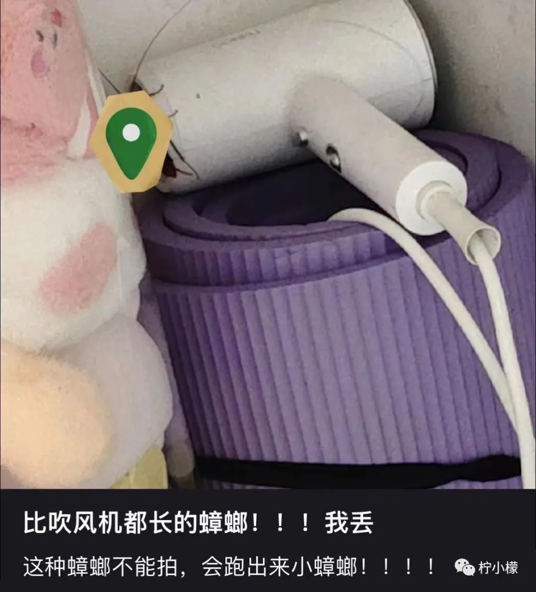 花1000元拍写真照,花近8000元拍写真