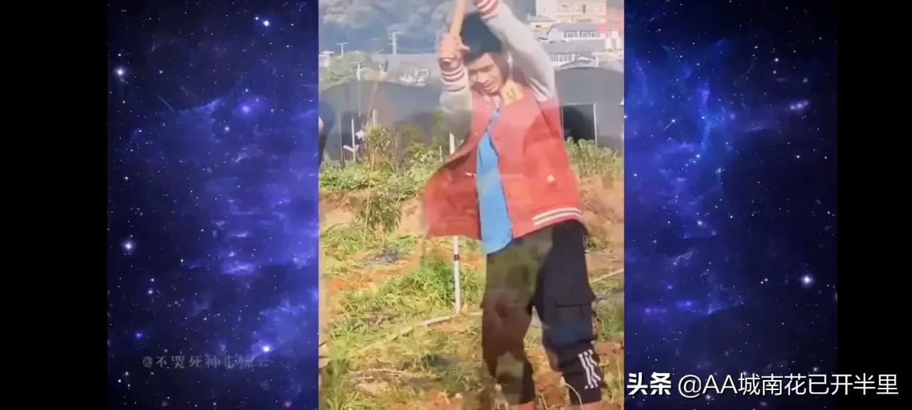 云南农大招生简章火了,云南农大招生简章是什么梗