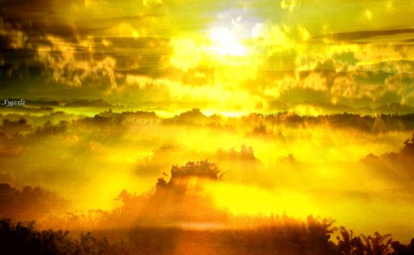 模糊才是世界真正的本源（大千老师讲课现场实录）