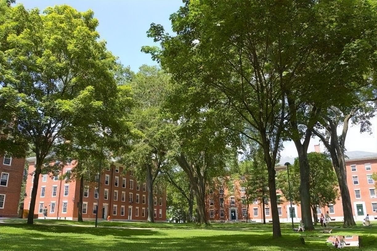 孩子考不上一流学校怎么办,考不上高中如何让孩子100%上本科