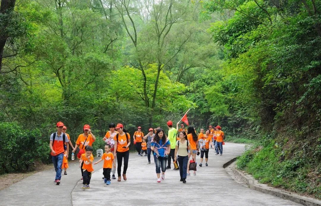 为什么会爱上,为什么会爱上ai