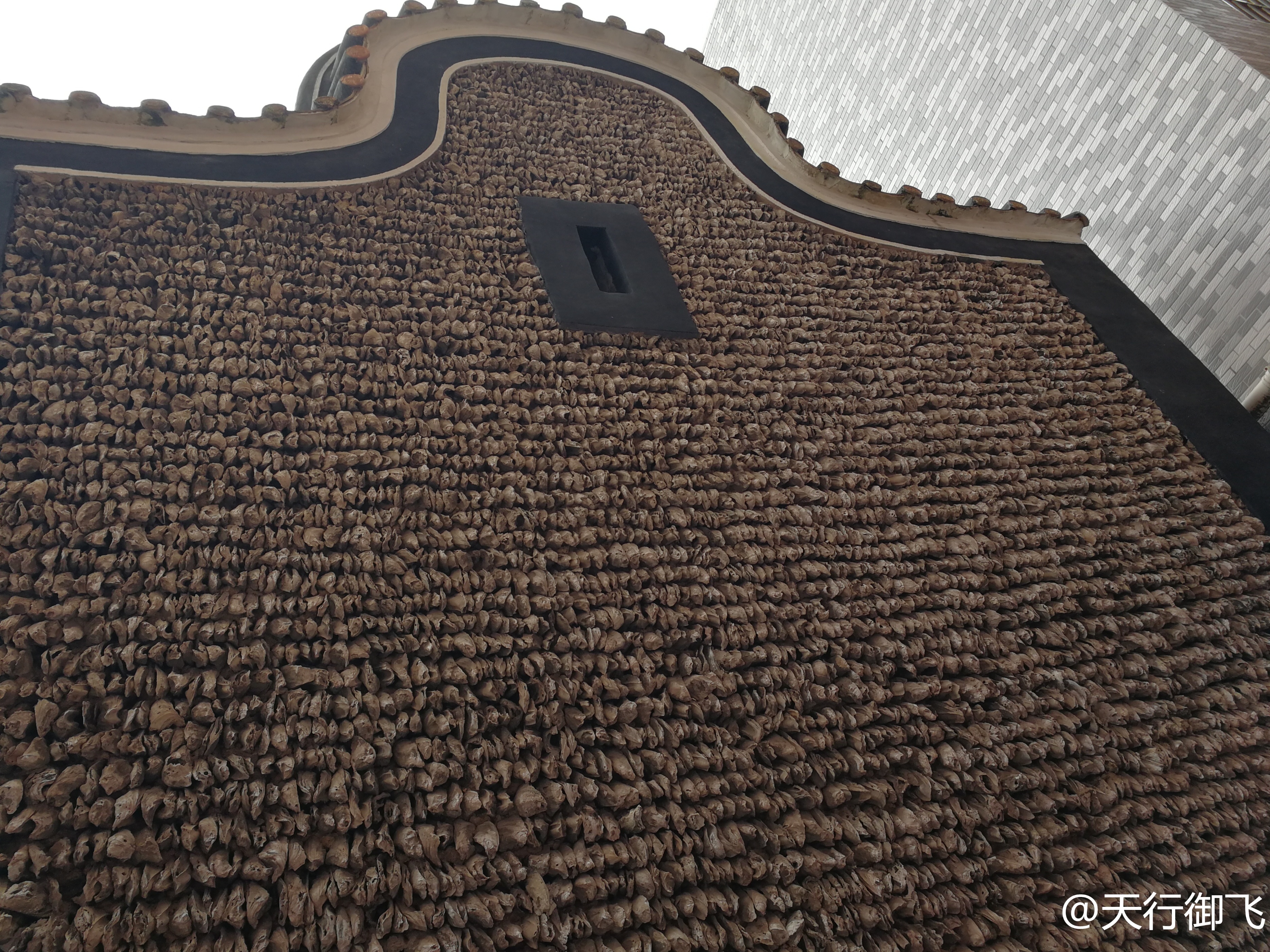 小洲村旅游景点地图,小洲村一日游最佳攻略